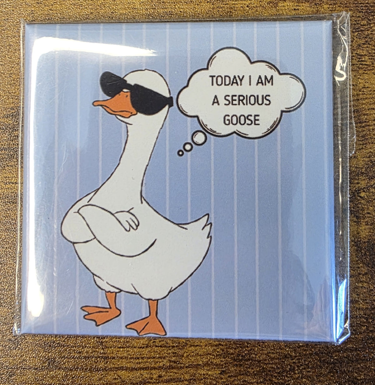 Today I am a Serious Goose