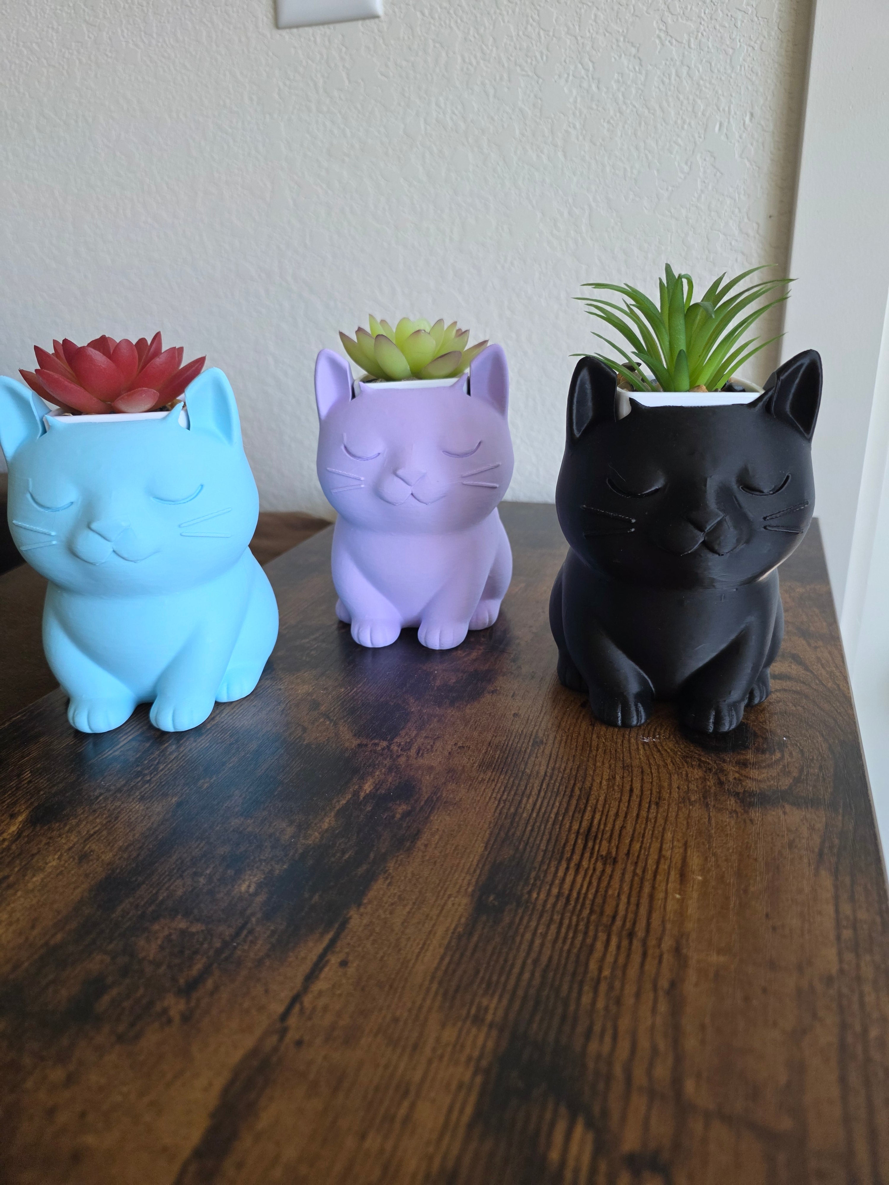Cat Succulents Planters